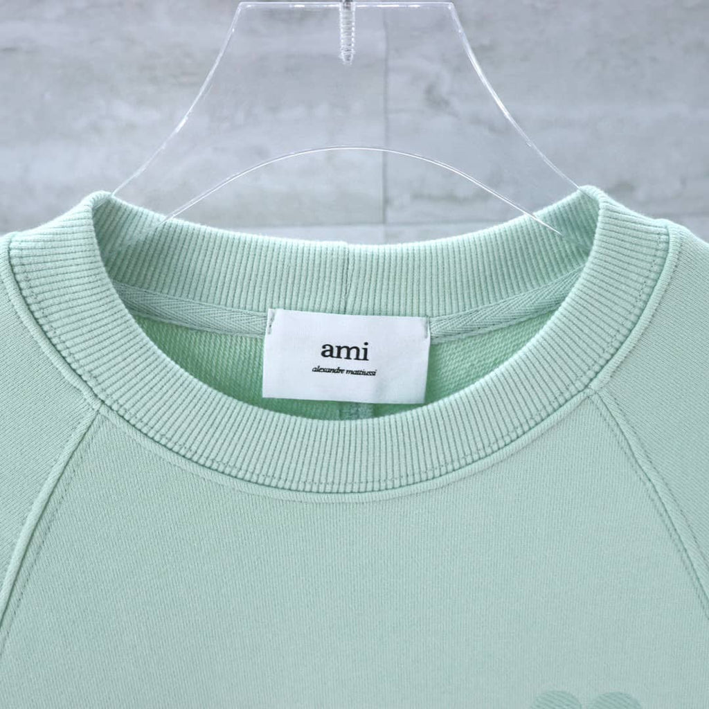 Pull Noir vert clair col rond Ami
