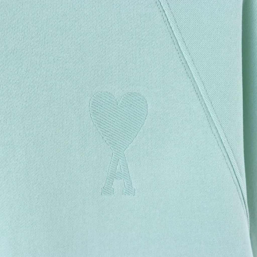 Pull Noir vert clair col rond Ami