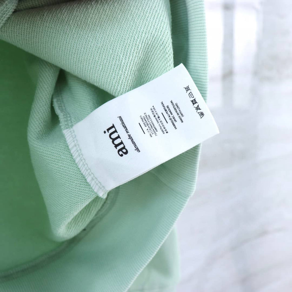 Pull Noir vert clair col rond Ami
