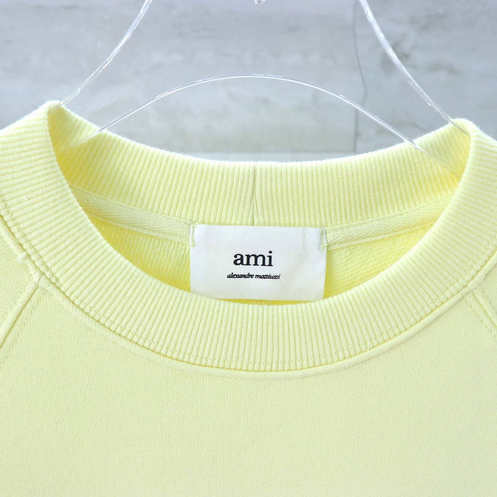 Pull Jaune col rond Ami