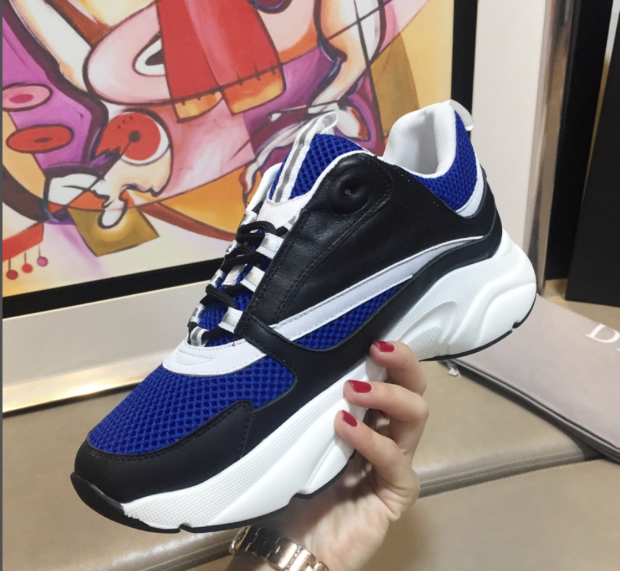 Sneakers Dior B22