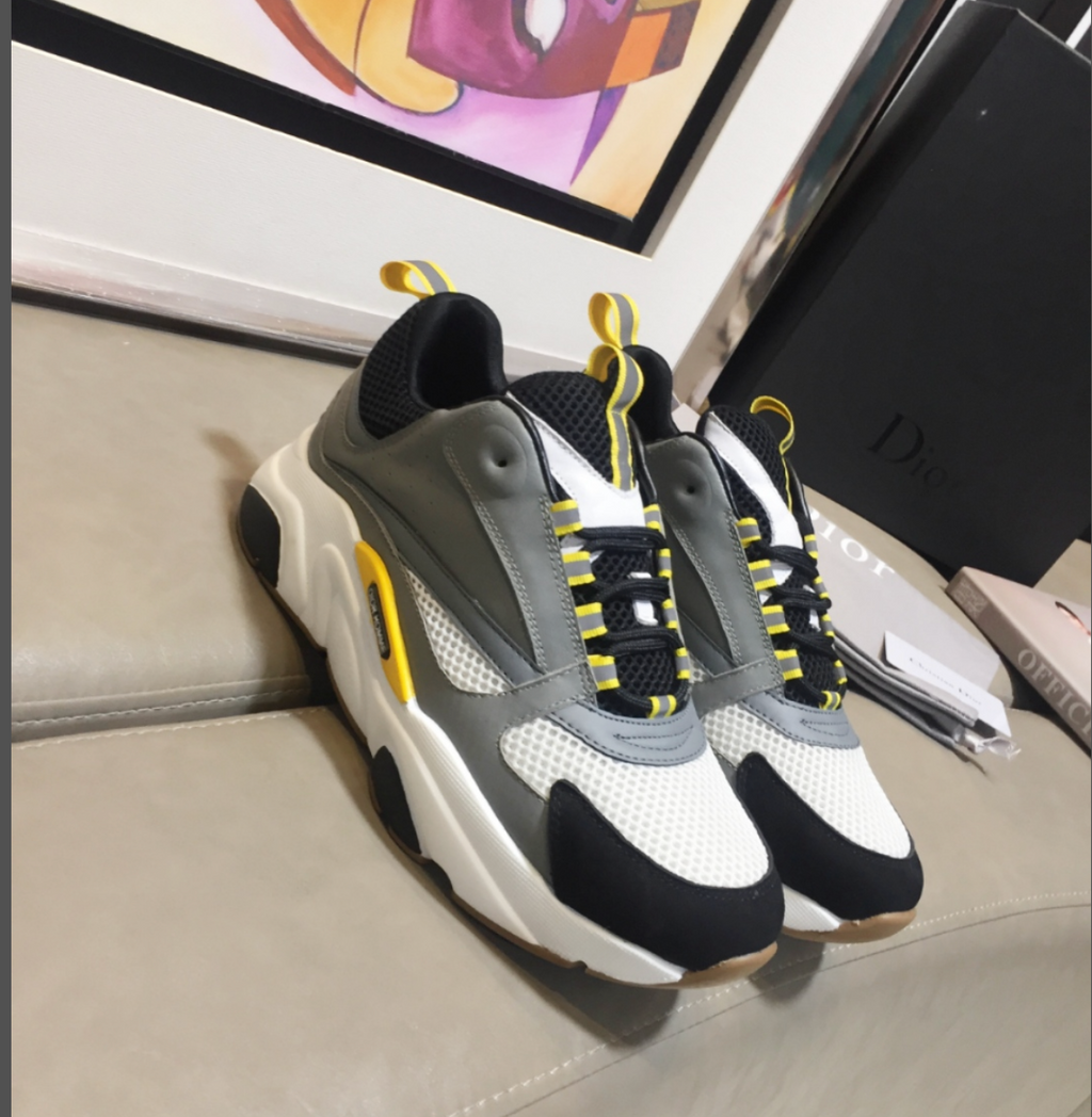 Sneakers Dior B22
