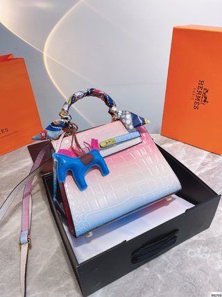 Sac Hermes Kelly 25 Edition Limitée