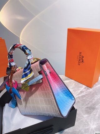 Sac Hermes Kelly 25 Edition Limitée