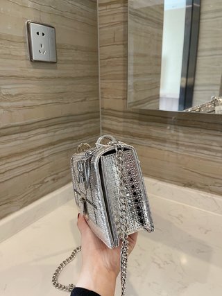 Sac Dior Diorama (Argenté) 21cm