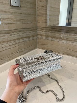 Sac Dior Diorama (Argenté) 21cm