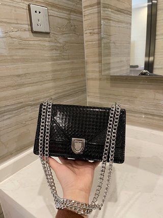 Sac Dior Diorama 21cm