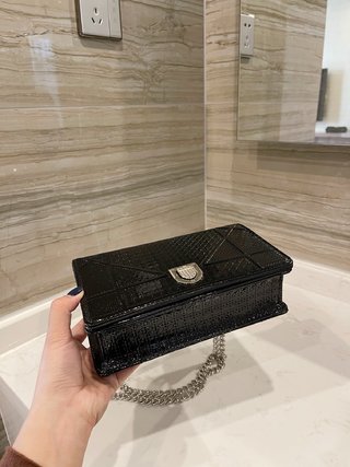 Sac Dior Diorama 21cm