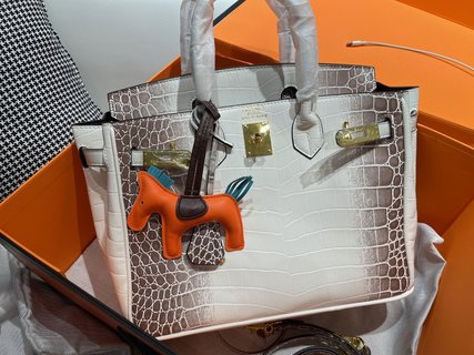 Sac Hermes Himalaya 25 Edition Limitée