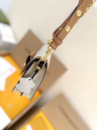 Sac Louis Vuitton Dauphine (18CM / 20CM )