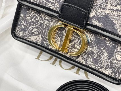 Sac Dior 2021 Toile de Jouy 22cm