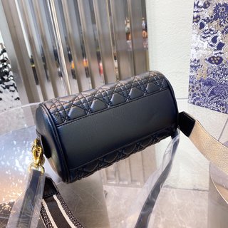 Sac Dior 22cm  TX-218