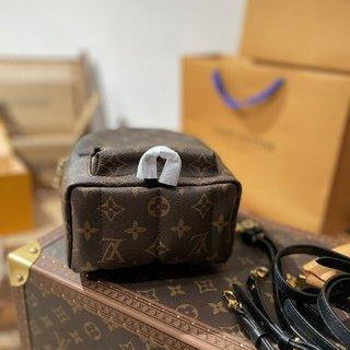 Mini sac a dos Palm Spring  Louis Vuiton