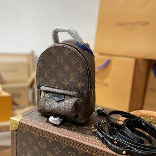 Mini sac a dos Palm Spring  Louis Vuiton