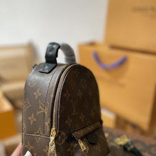 Mini sac a dos Palm Spring  Louis Vuiton